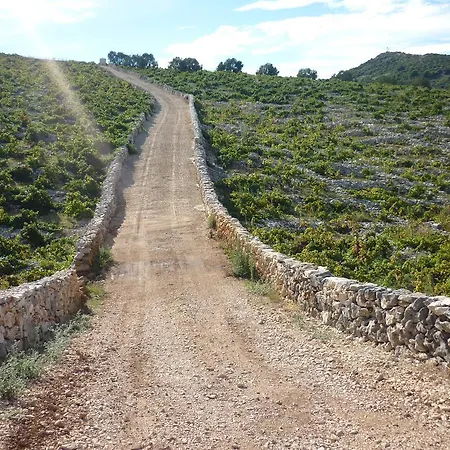 Dane Апартаменты